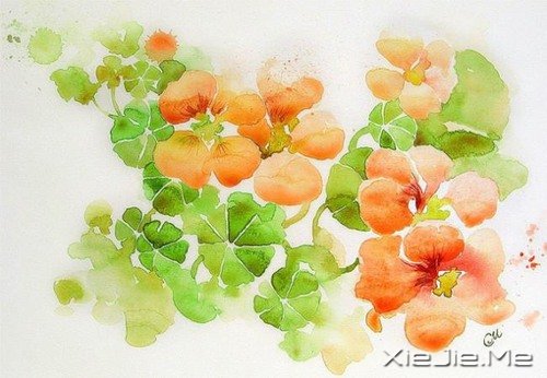 治愈系水彩画