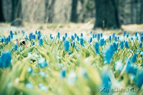 不要艳羡他人,不要输掉自己 (6)