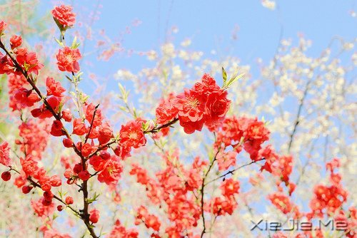 活得平和,才能在心里装下满满的幸福 (9)