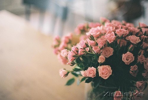 早安心语:面对复杂,保持欢喜 (6)