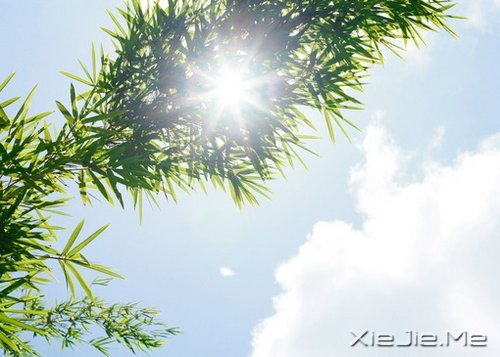 人生有八度